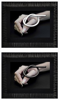 Work: LIDZIE ALVISA Dibujo- Diptych, 2007