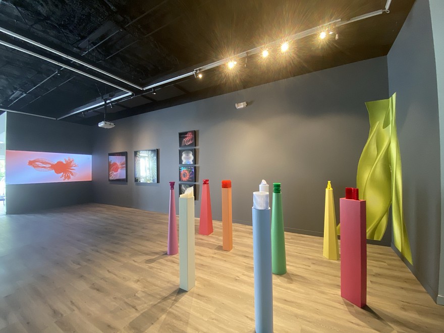 FELICE GRODIN- ALEX TRIMINO - HyperLeak  - Past â†’ Present â† Future
 - Installation View