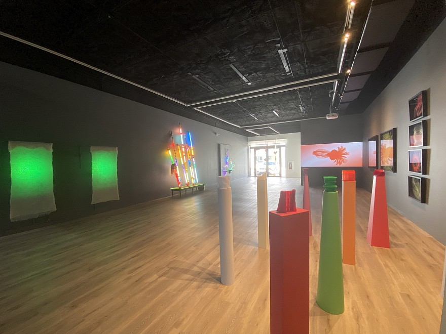 FELICE GRODIN- ALEX TRIMINO - HyperLeak  - Past â†’ Present â† Future
 - Installation View