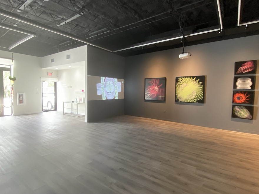 FELICE GRODIN- ALEX TRIMINO - HyperLeak  - Past â†’ Present â† Future
 - Installation View