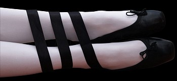 LIDZIE ALVISA - Profesional - Series Rodapies, 2010