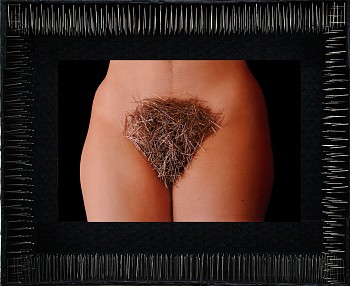 Work: LIDZIE ALVISA Imán, 2000