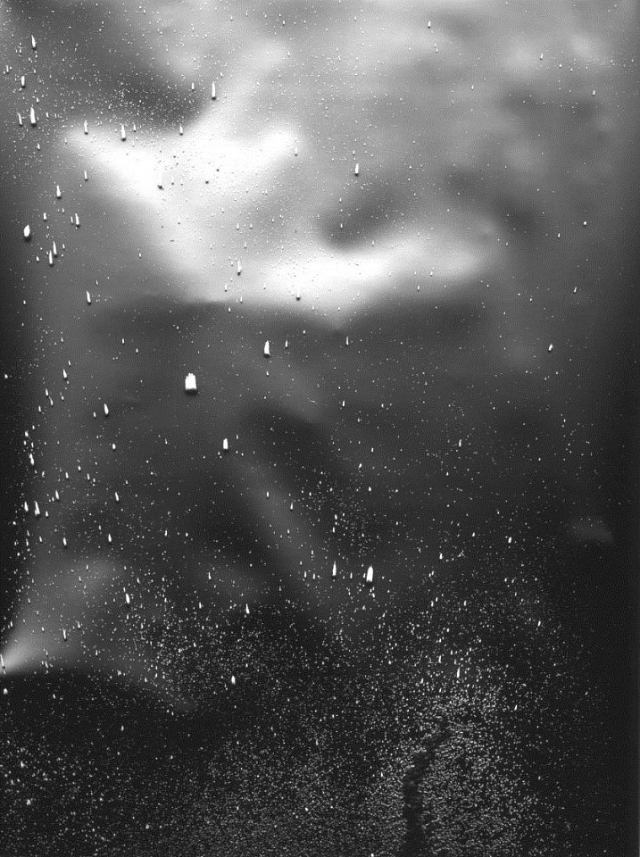 MICHAEL FLOMEN, Is it you, 2004
gelatin silver toned print, 64 x 48 in. (162.6 x 121.9 cm)
Unique photogram
MFO-0038