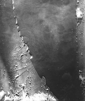 Work: MICHAEL FLOMEN Untitled # 5, 2005