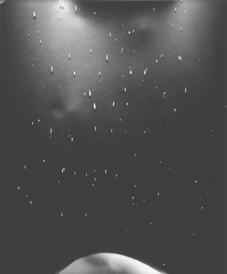 MICHAEL FLOMEN, Untitled #7, 2005
gelatin silver tone print, 24 x 20 in. (61 x 50.8 cm)
unqiue photogram
MFO-0050