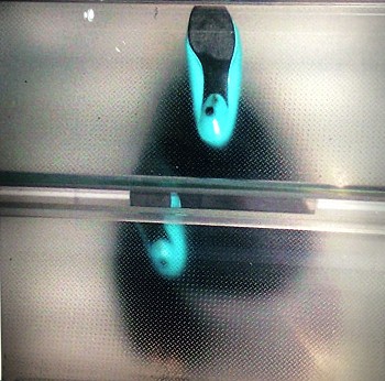 Work: GRACIELA SACCO Backlight- Zapatos turquesa