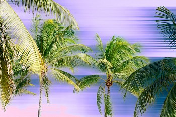 Work: Supernova Miami #07, 2022