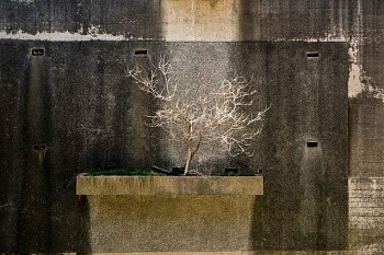 Work: LOLE ASIKIAN Masis, 2020