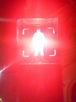 Work: SERGIO BAZAN Red, 2022