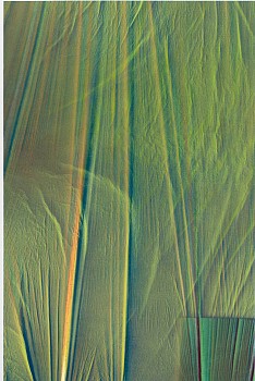 Work: DANIEL VERBIS Series Las Vestiduras, 2023