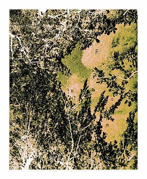 LUIS PAREDES - Poem in code, 2022