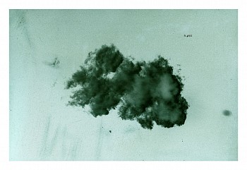 LUIS PAREDES - Formation N4HR (the last cloud), 2022