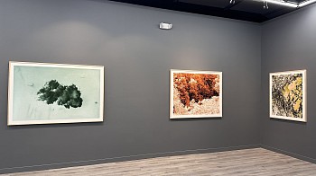 LUIS PAREDES - ARCHIVOS DEL ANTROPOCENO&nbsp;