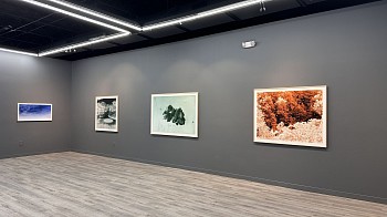 LUIS PAREDES - ARCHIVOS DEL ANTROPOCENO&nbsp;