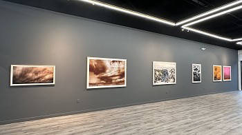 LUIS PAREDES - ARCHIVOS DEL ANTROPOCENO&nbsp;