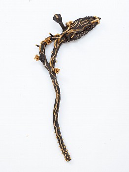 Work: NICOLAS LEIVA FLOWER, 2024