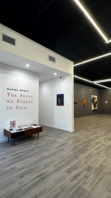 DANIEL DOMIG | The Songs we Forget to Sing - Installation View