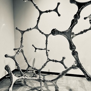 LORIS CECCHINI | The Fluid Guest&nbsp;