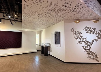 LORIS CECCHINI | The Fluid Guest&nbsp;